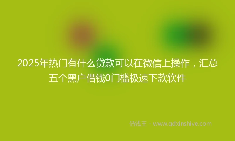 2025年热门有什么贷款可以在微信上操作，汇总五个黑户借钱0门槛极速下款软件