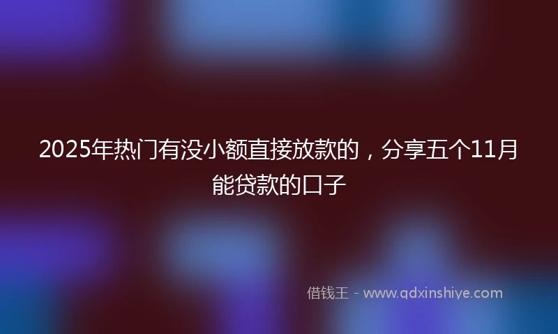 2025年热门有没小额直接放款的，分享五个11月能贷款的口子