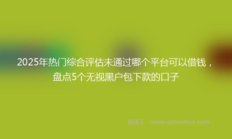 2025年热门综合评估未通过哪个平台可以借钱，盘点5个无视黑户包下款的口子