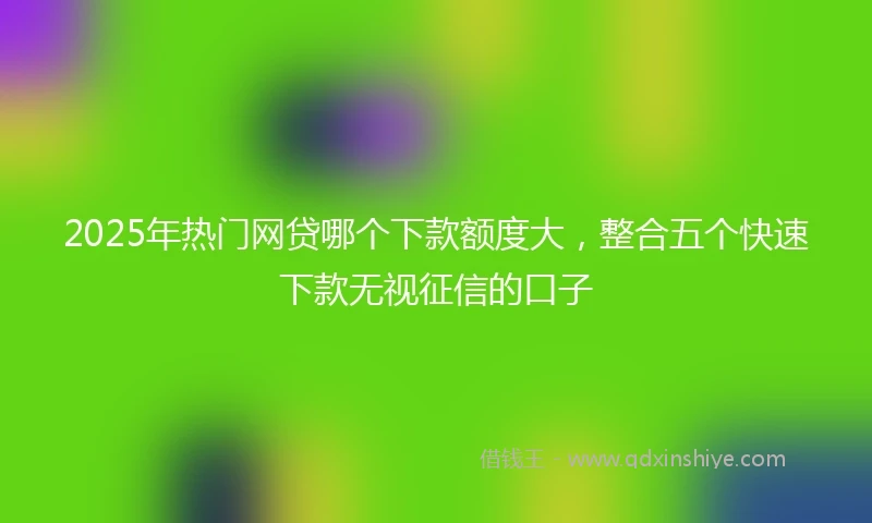 2025年热门网贷哪个下款额度大，整合五个快速下款无视征信的口子
