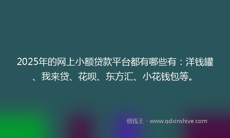 2025年的网上小额贷款平台都有哪些有：洋钱罐、我来贷、花呗、东方汇、小花钱包等。
