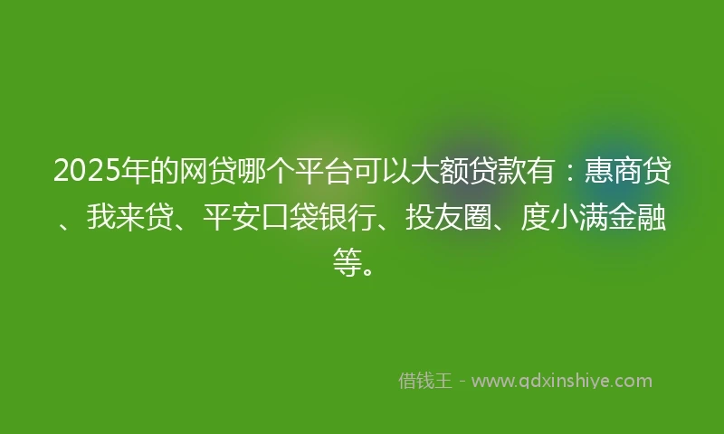 2025年的网贷哪个平台可以大额贷款有：惠商贷、我来贷、平安口袋银行、投友圈、度小满金融等。