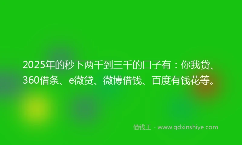 2025年的秒下两千到三千的口子有：你我贷、360借条、e微贷、微博借钱、百度有钱花等。