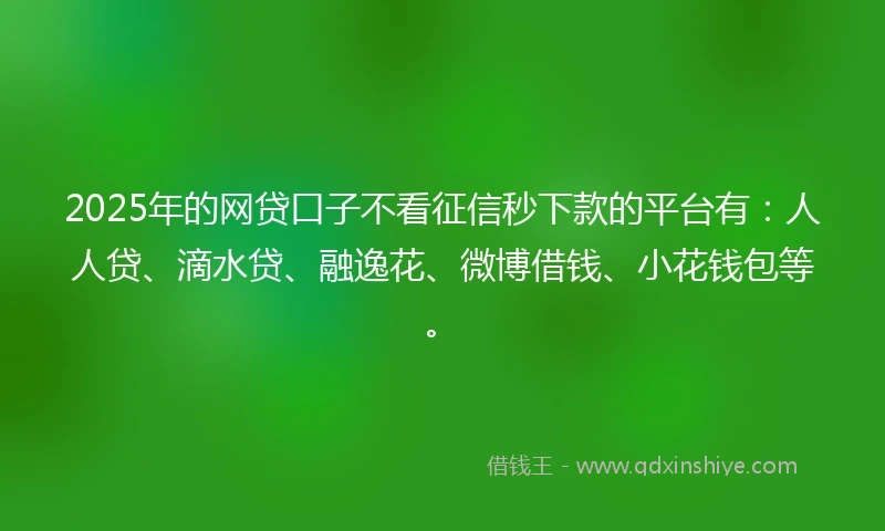 2025年的网贷口子不看征信秒下款的平台有：人人贷、滴水贷、融逸花、微博借钱、小花钱包等。