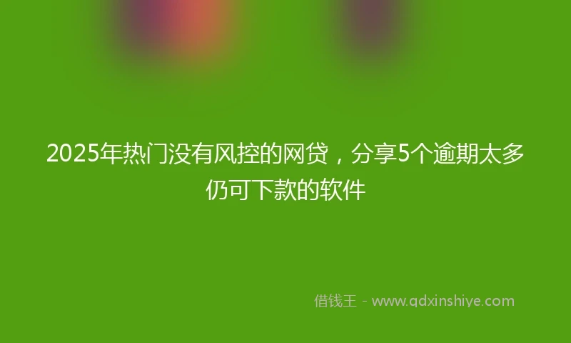 2025年热门没有风控的网贷，分享5个逾期太多仍可下款的软件