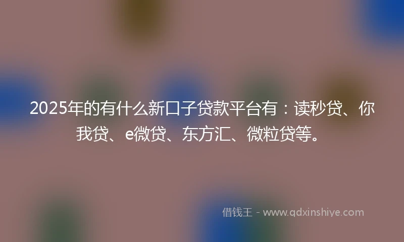 2025年的有什么新口子贷款平台有：读秒贷、你我贷、e微贷、东方汇、微粒贷等。