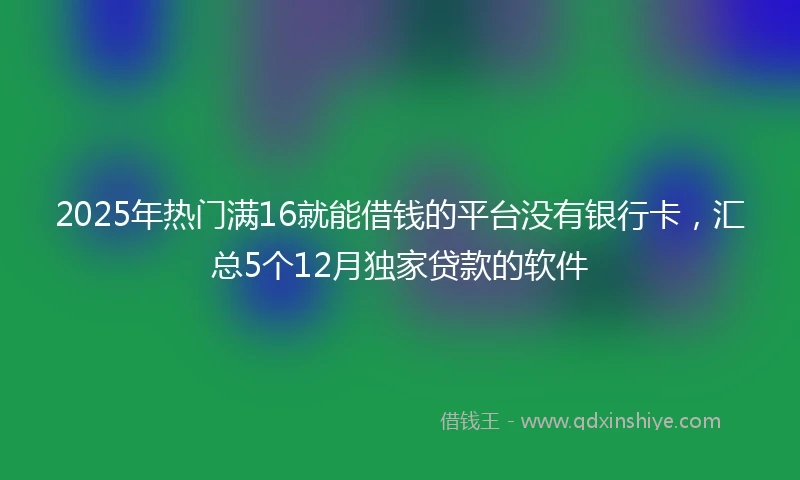 2025年热门满16就能借钱的平台没有银行卡，汇总5个12月独家贷款的软件