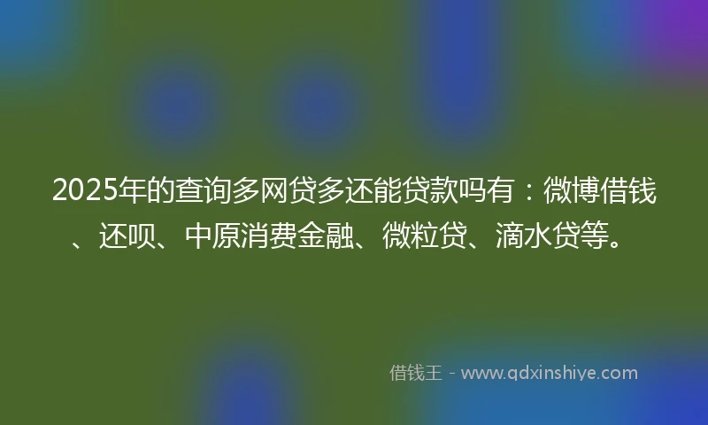 2025年的查询多网贷多还能贷款吗有：微博借钱、还呗、中原消费金融、微粒贷、滴水贷等。