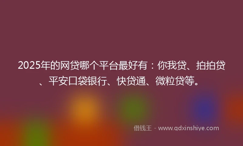 2025年的网贷哪个平台最好有：你我贷、拍拍贷、平安口袋银行、快贷通、微粒贷等。