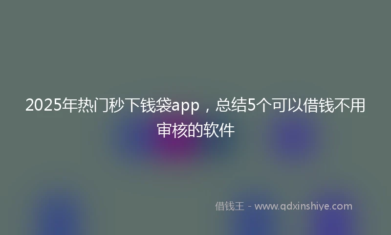 2025年热门秒下钱袋app，总结5个可以借钱不用审核的软件