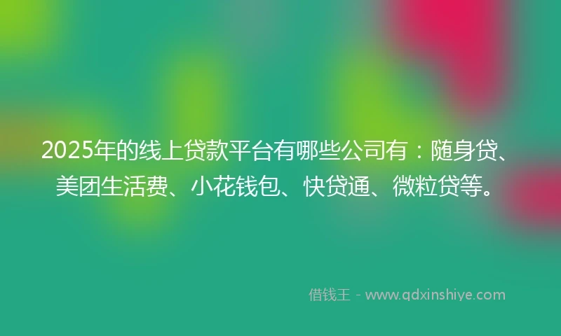 2025年的线上贷款平台有哪些公司有：随身贷、美团生活费、小花钱包、快贷通、微粒贷等。