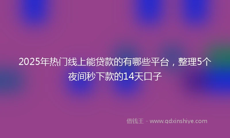 2025年热门线上能贷款的有哪些平台，整理5个夜间秒下款的14天口子