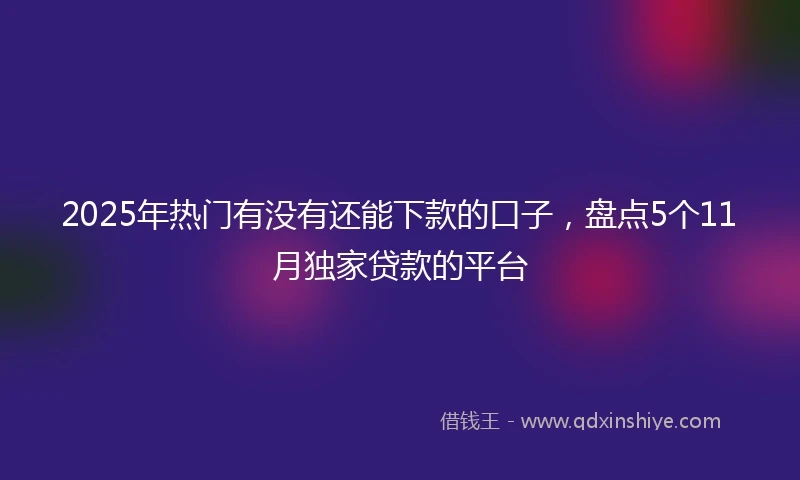 2025年热门有没有还能下款的口子，盘点5个11月独家贷款的平台