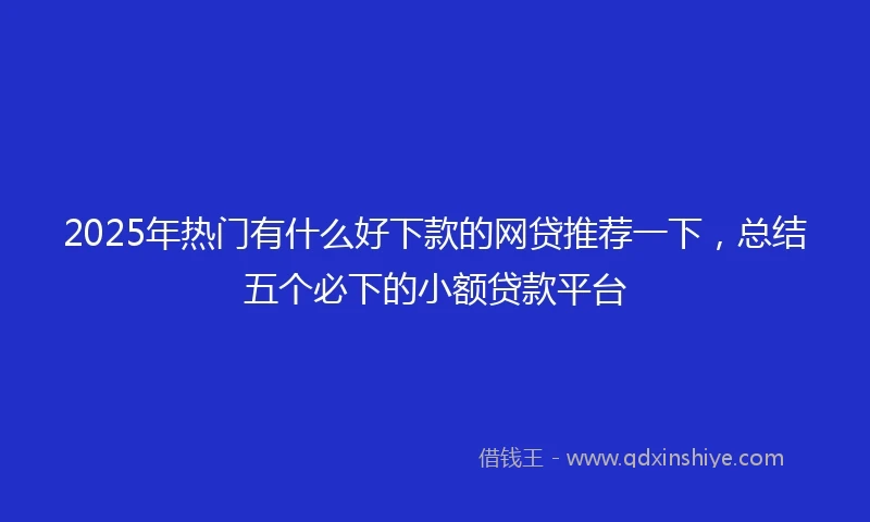 2025年热门有什么好下款的网贷推荐一下，总结五个必下的小额贷款平台