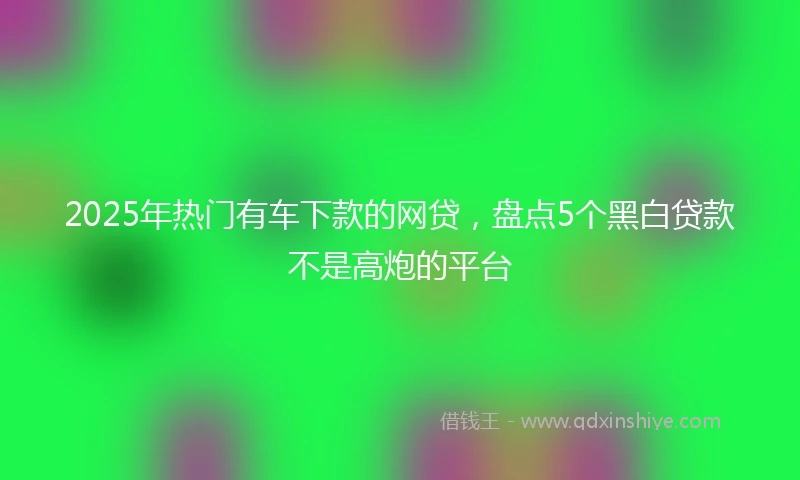 2025年热门有车下款的网贷，盘点5个黑白贷款不是高炮的平台