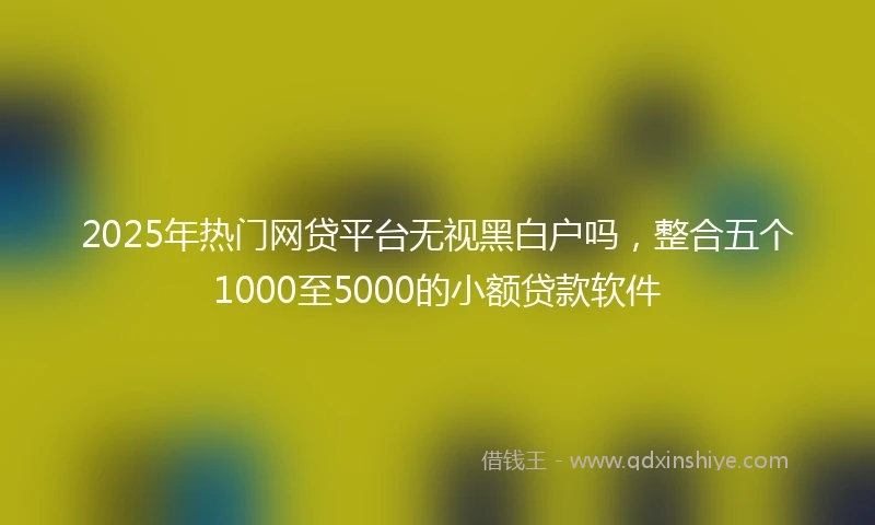 2025年热门网贷平台无视黑白户吗，整合五个1000至5000的小额贷款软件