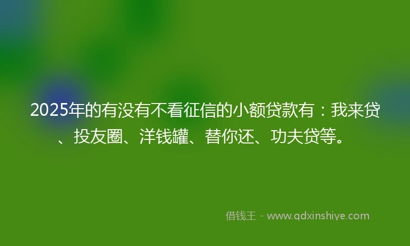 2025年的有没有不看征信的小额贷款有：我来贷、投友圈、洋钱罐、替你还、功夫贷等。