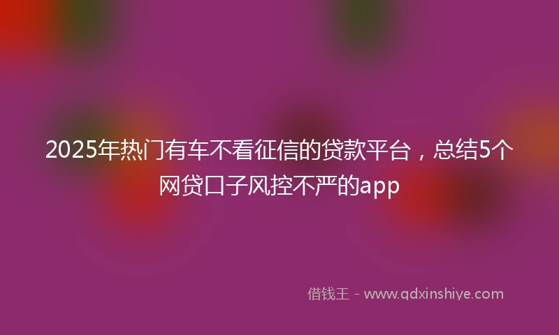 2025年热门有车不看征信的贷款平台，总结5个网贷口子风控不严的app