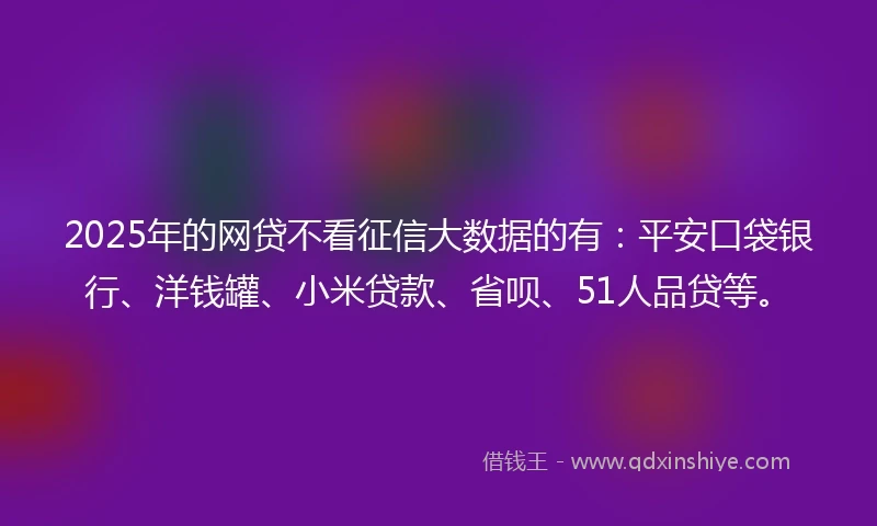 2025年的网贷不看征信大数据的有：平安口袋银行、洋钱罐、小米贷款、省呗、51人品贷等。