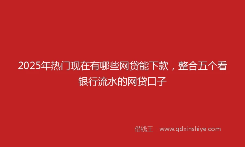 2025年热门现在有哪些网贷能下款，整合五个看银行流水的网贷口子
