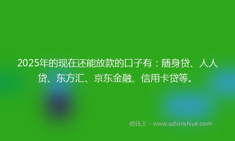 2025年的现在还能放款的口子有：随身贷、人人贷、东方汇、京东金融、信用卡贷等。