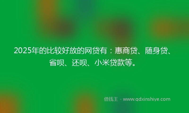 2025年的比较好放的网贷有：惠商贷、随身贷、省呗、还呗、小米贷款等。