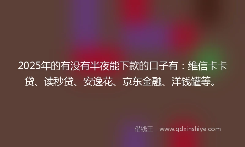 2025年的有没有半夜能下款的口子有：维信卡卡贷、读秒贷、安逸花、京东金融、洋钱罐等。
