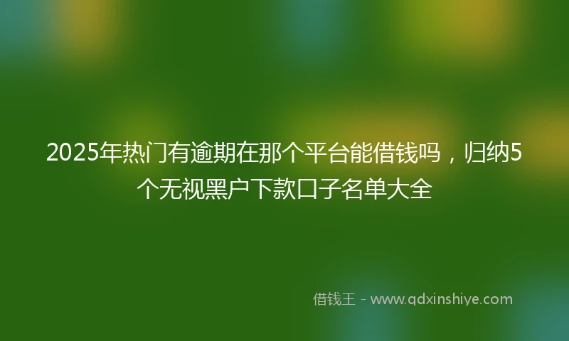 2025年热门有逾期在那个平台能借钱吗，归纳5个无视黑户下款口子名单大全