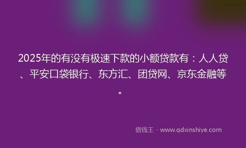 2025年的有没有极速下款的小额贷款有：人人贷、平安口袋银行、东方汇、团贷网、京东金融等。