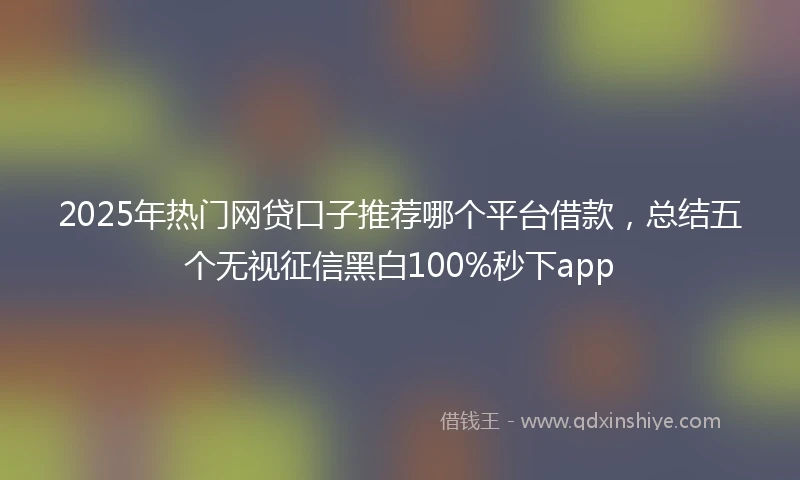2025年热门网贷口子推荐哪个平台借款，总结五个无视征信黑白100%秒下app