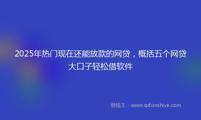 2025年热门现在还能放款的网贷，概括五个网贷大口子轻松借软件