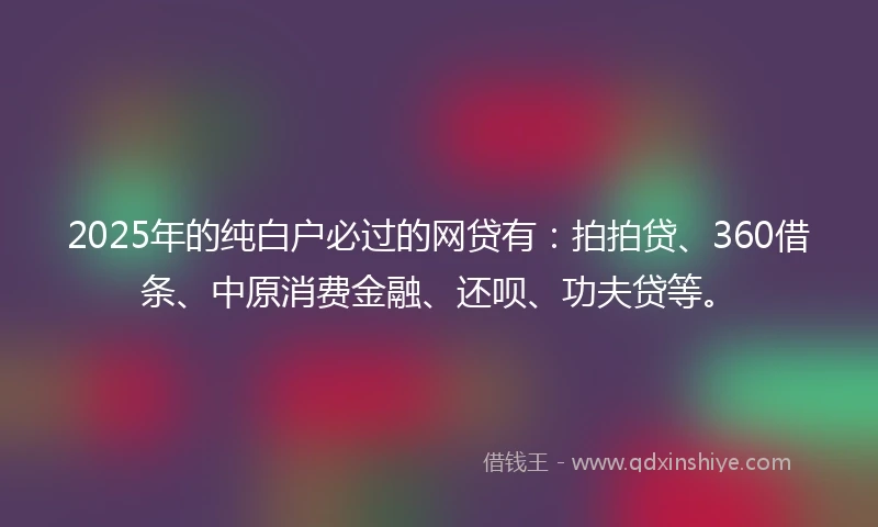 2025年的纯白户必过的网贷有：拍拍贷、360借条、中原消费金融、还呗、功夫贷等。