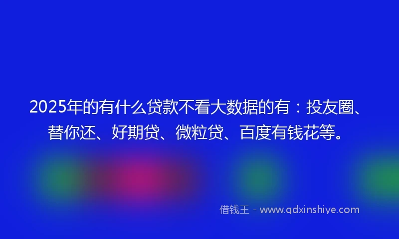 2025年的有什么贷款不看大数据的有：投友圈、替你还、好期贷、微粒贷、百度有钱花等。