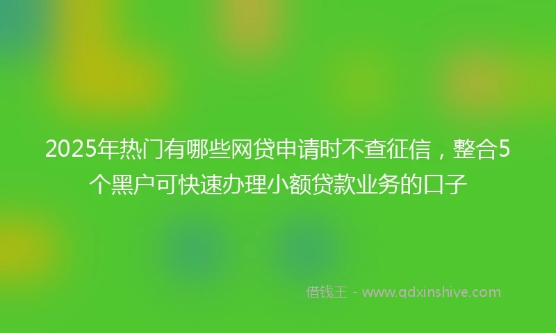 2025年热门有哪些网贷申请时不查征信，整合5个黑户可快速办理小额贷款业务的口子