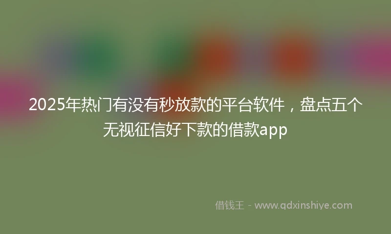 2025年热门有没有秒放款的平台软件，盘点五个无视征信好下款的借款app