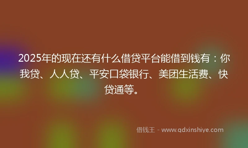 2025年的现在还有什么借贷平台能借到钱有：你我贷、人人贷、平安口袋银行、美团生活费、快贷通等。
