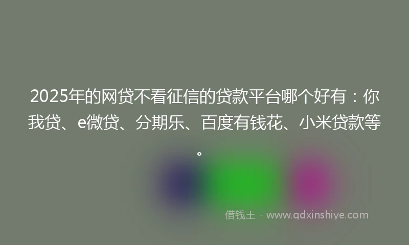 2025年的网贷不看征信的贷款平台哪个好有：你我贷、e微贷、分期乐、百度有钱花、小米贷款等。