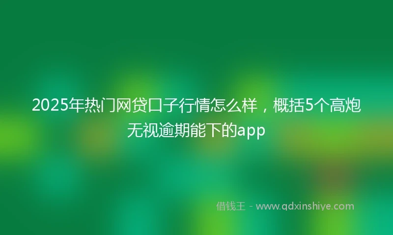 2025年热门网贷口子行情怎么样，概括5个高炮无视逾期能下的app