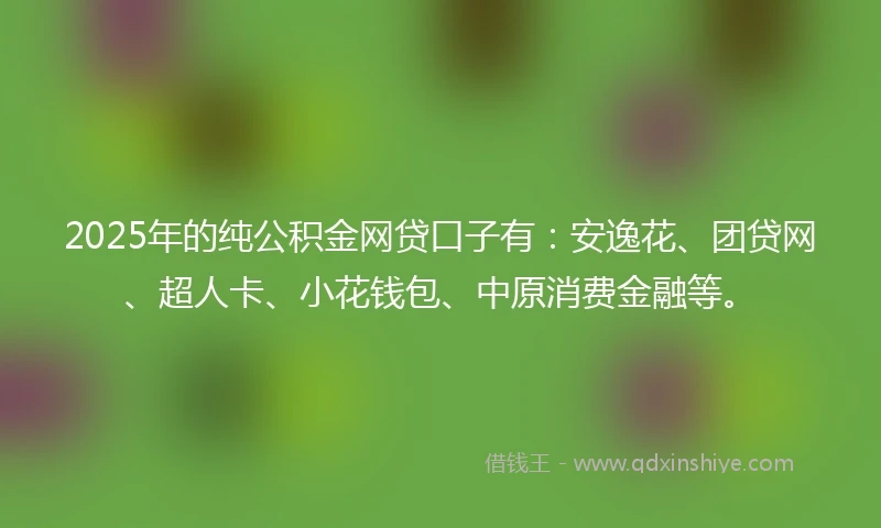 2025年的纯公积金网贷口子有：安逸花、团贷网、超人卡、小花钱包、中原消费金融等。