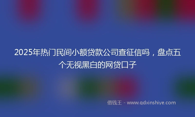 2025年热门民间小额贷款公司查征信吗，盘点五个无视黑白的网贷口子