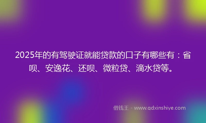 2025年的有驾驶证就能贷款的口子有哪些有：省呗、安逸花、还呗、微粒贷、滴水贷等。