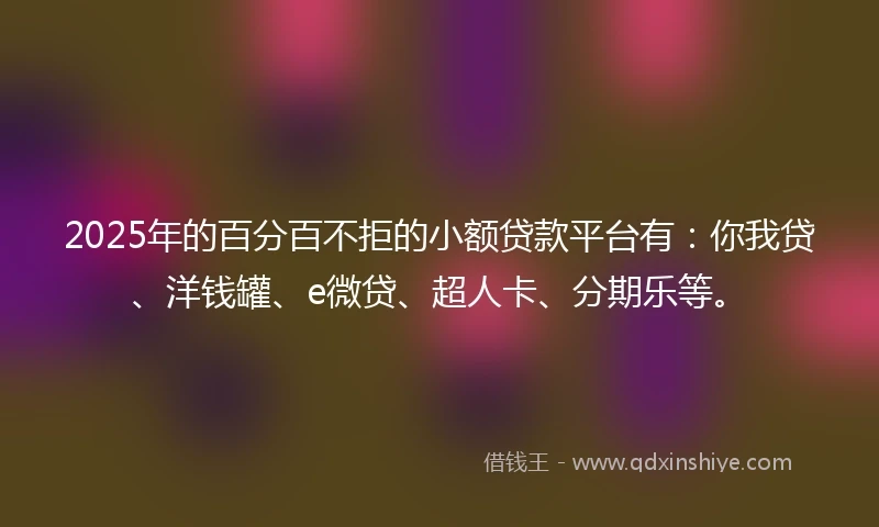 2025年的百分百不拒的小额贷款平台有：你我贷、洋钱罐、e微贷、超人卡、分期乐等。