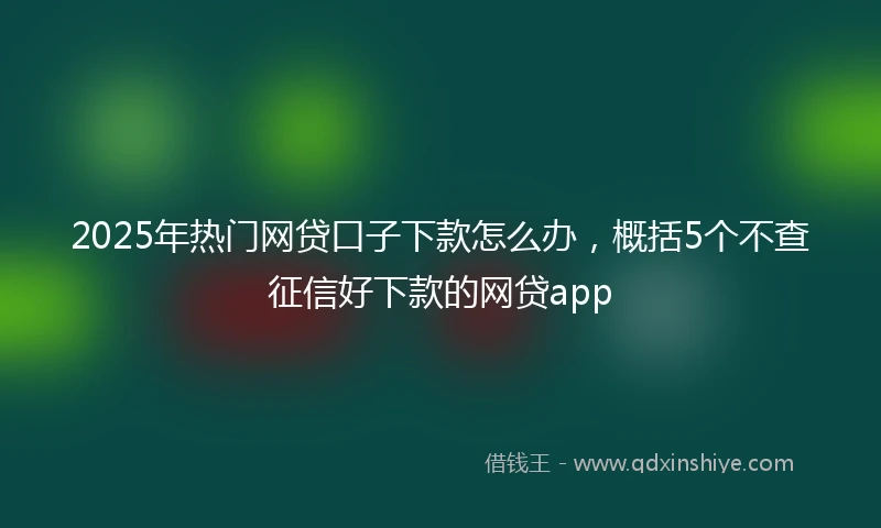 2025年热门网贷口子下款怎么办，概括5个不查征信好下款的网贷app