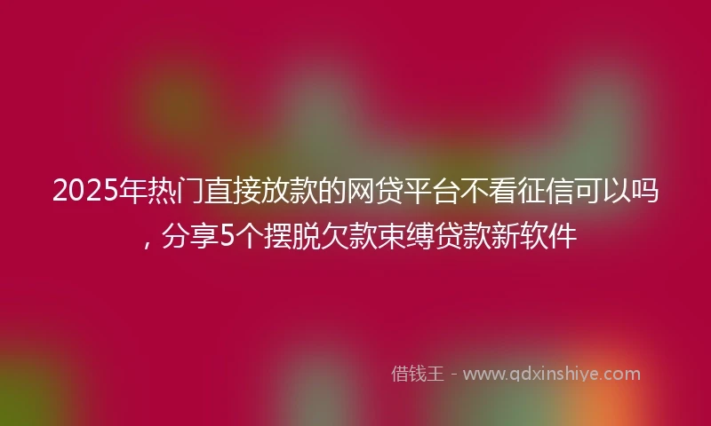 2025年热门直接放款的网贷平台不看征信可以吗，分享5个摆脱欠款束缚贷款新软件