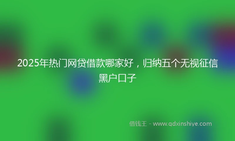 2025年热门网贷借款哪家好,归纳五个无视征信黑户口子