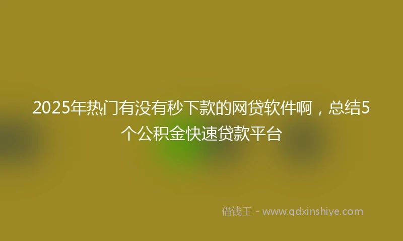 2025年热门有没有秒下款的网贷软件啊，总结5个公积金快速贷款平台