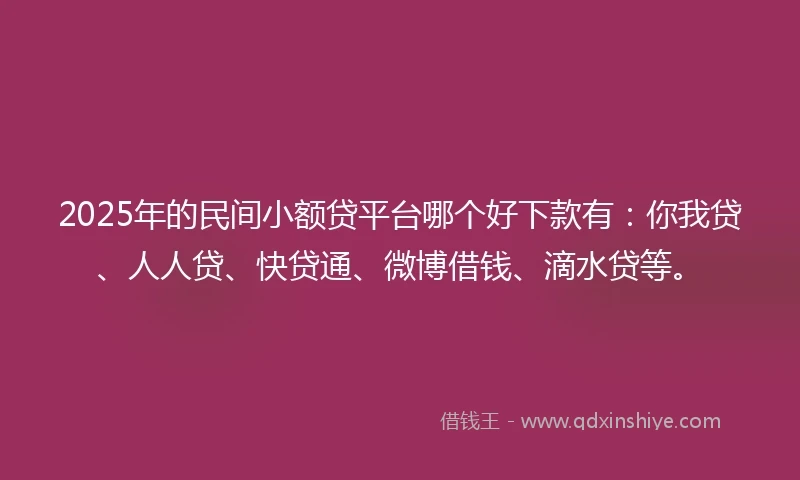 2025年的民间小额贷平台哪个好下款有：你我贷、人人贷、快贷通、微博借钱、滴水贷等。