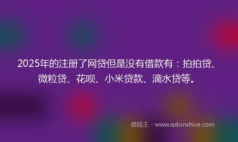 2025年的注册了网贷但是没有借款有：拍拍贷、微粒贷、花呗、小米贷款、滴水贷等。
