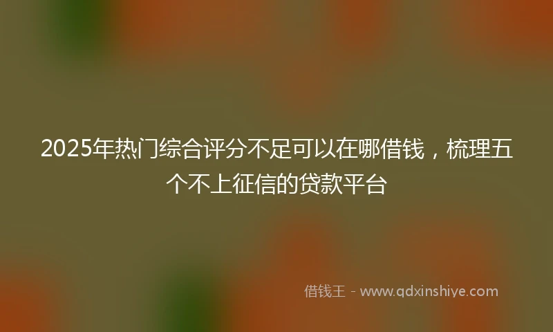 2025年热门综合评分不足可以在哪借钱，梳理五个不上征信的贷款平台