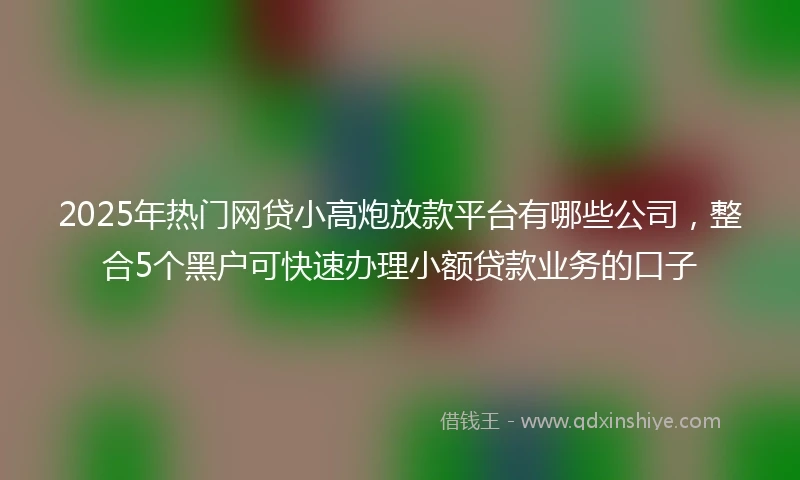 2025年热门网贷小高炮放款平台有哪些公司，整合5个黑户可快速办理小额贷款业务的口子